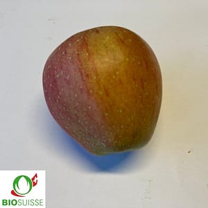 Pommier Bio Pinova – pomme rouge croquante et juteuse, idéale pour culture biologique