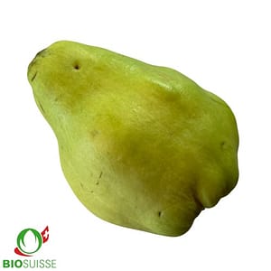 Cognassier Vranja bio avec gros coings jaune doré