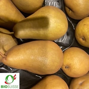 Poirier Beurré Bosc en fruits – variété d'automne avec poires cuivrées sucrées, idéale pour jardin bio ou familial