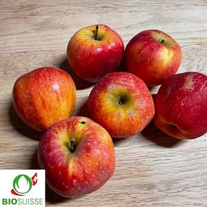 Pommier bio Florina – pomme rouge brillante, variété d’automne résistante sans traitement, idéale pour la table et la conservation