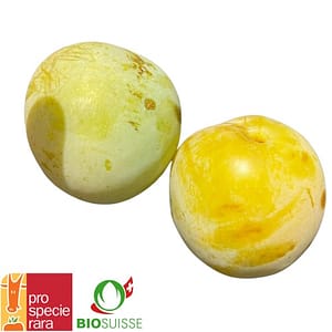 Prunier ‘Reine-Claude’ – Une prune verte sucrée pour altitude et confiture