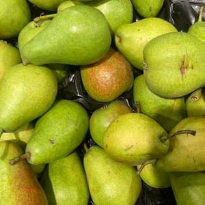 Poirier Louise Bonne